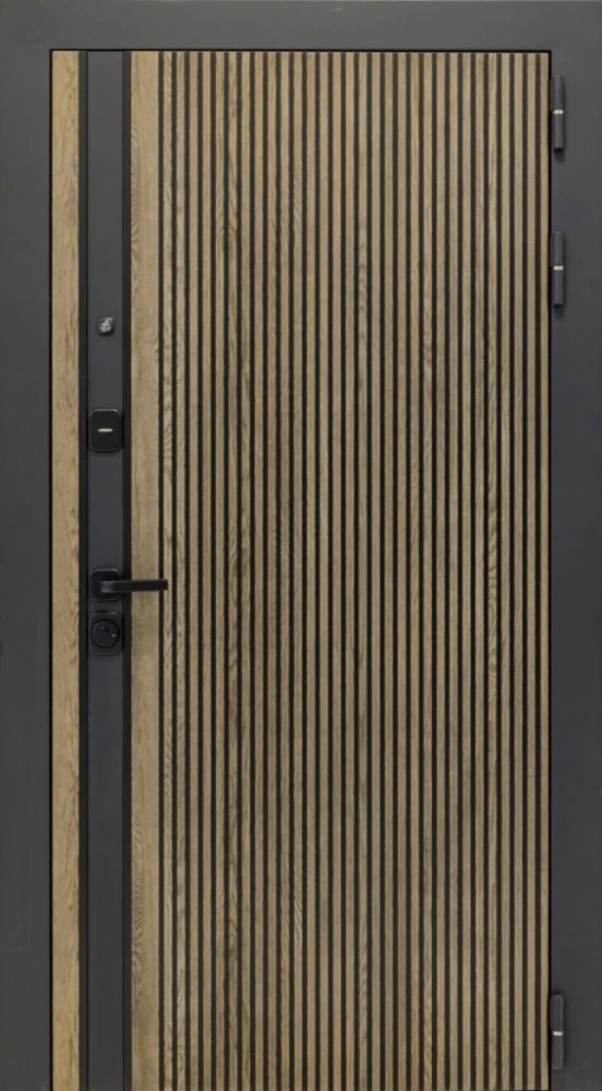 Входная дверь ДвериПРО Росна ФЛ-256 (10мм, Бетон пепельный) DPRO227599 внешняя сторона